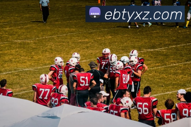 易倍体育App平台生态图