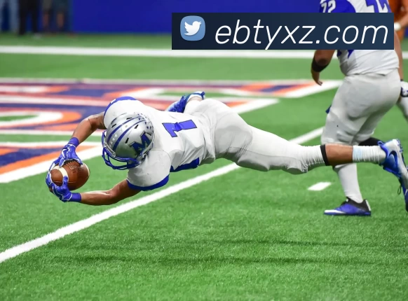 易倍体育AppAPP 封面图